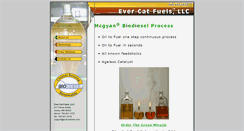 Desktop Screenshot of evercatfuels.com